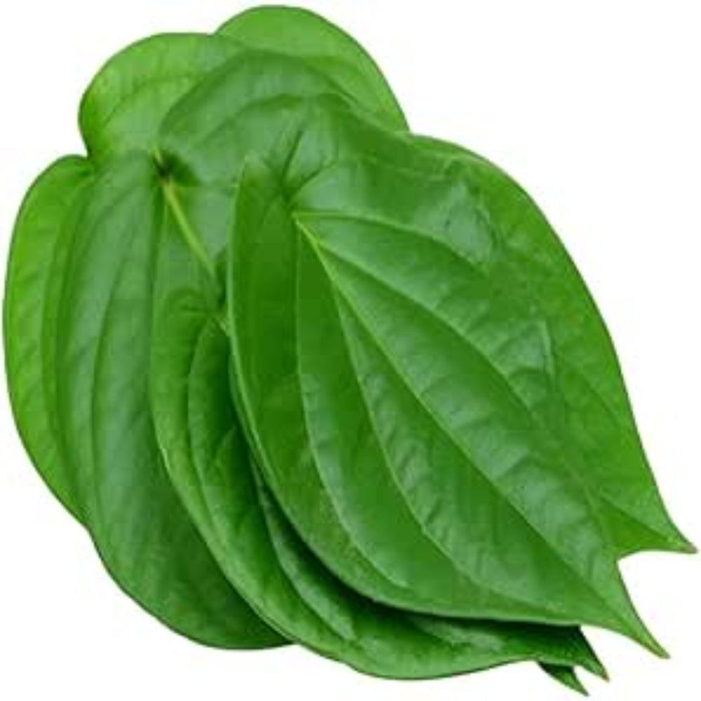Fresh Betel Leaves