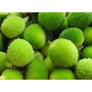 Kantola / Spiny Gourd 1kg