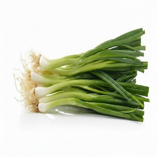 Spring Onion Bunch