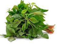 Amarnath Leaves/Chaulai/Thotakura